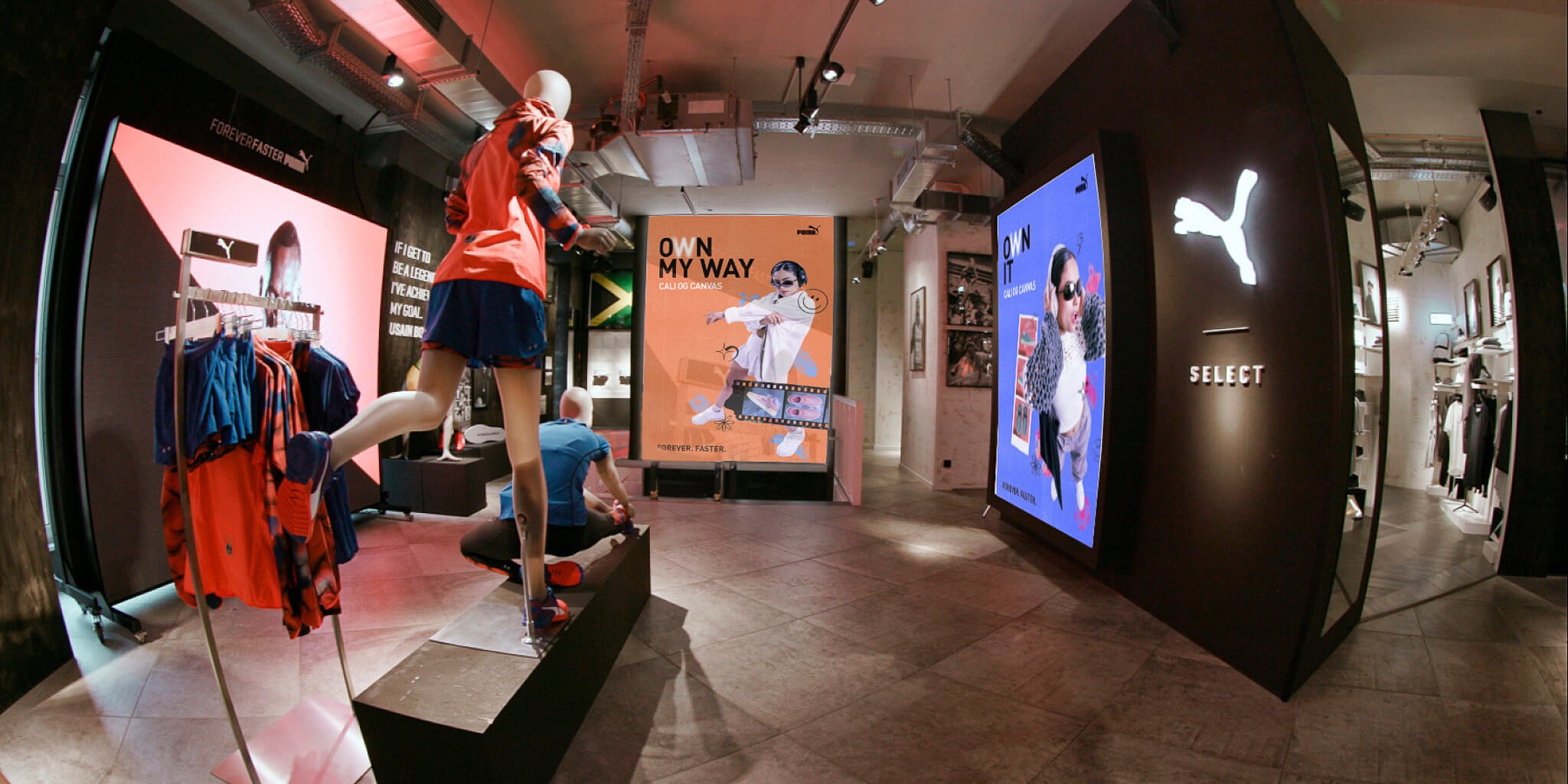 Imagen de PUMA